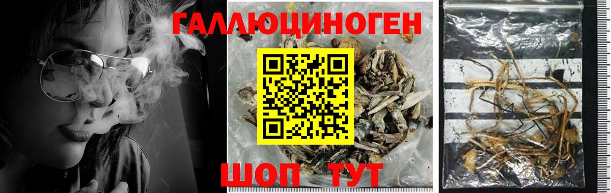 Туапсе  Псилоцибиновые грибы MAGIC MUSHROOMS  Вход с VPN 