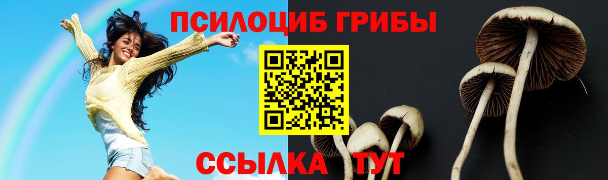Галлюциногенные грибы Psilocybe Туапсе